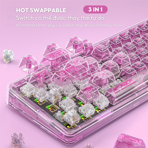 kiotviet_77812cd2432f4a5830b050b5af391711